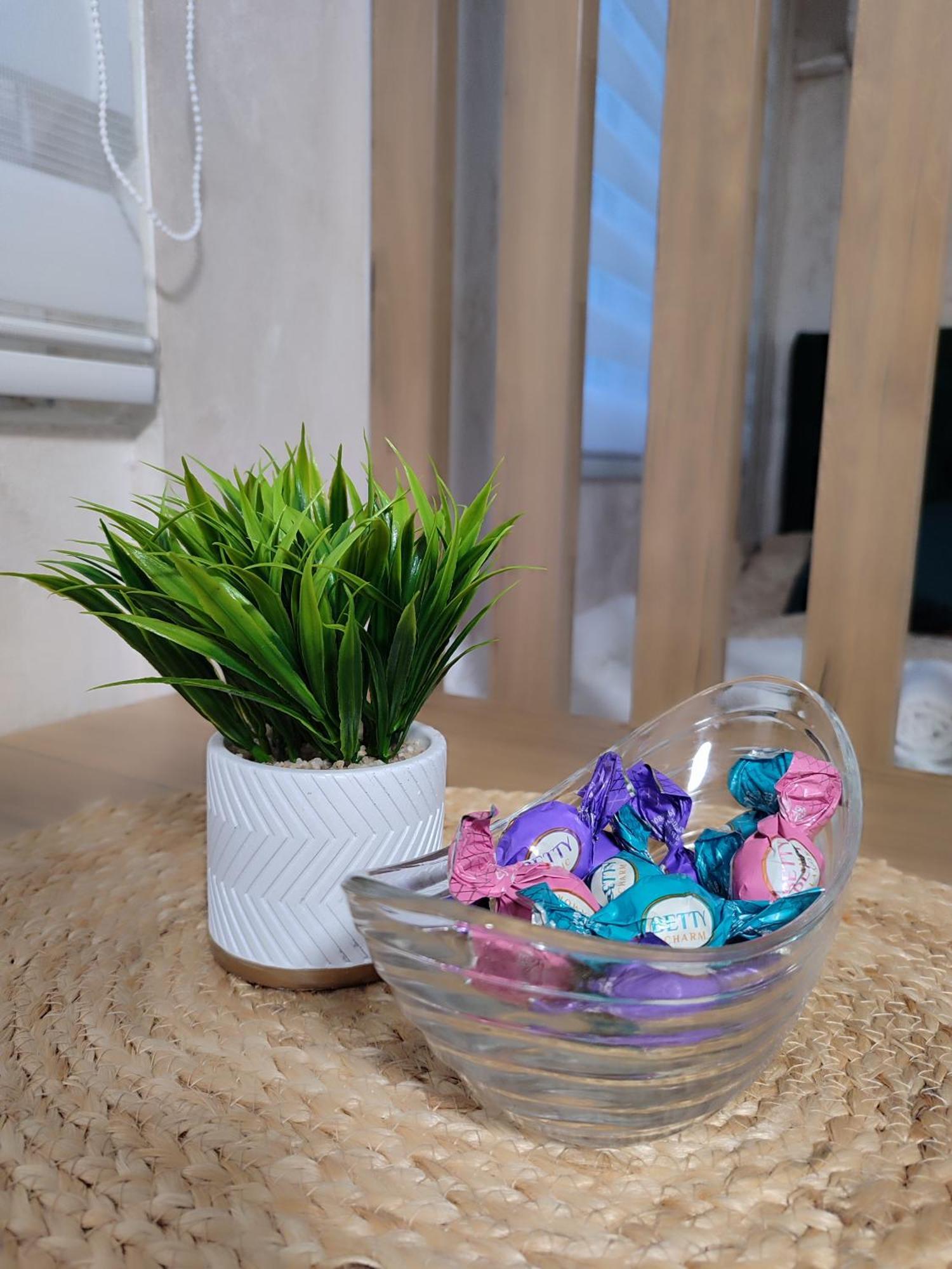 Studio Apartman Free Parking Rubikon Белград Стая снимка